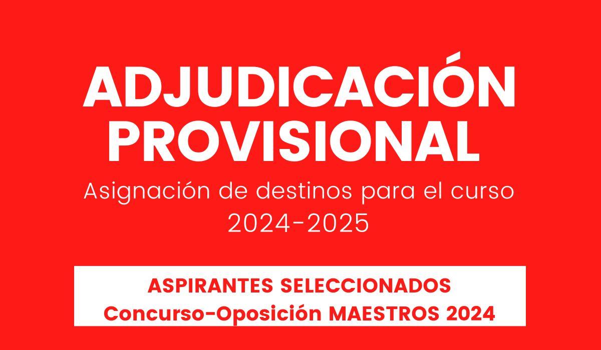 Adjudicacion provisional