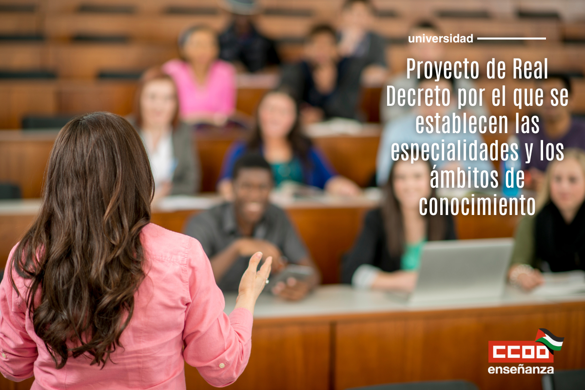 Estado de la tramitación