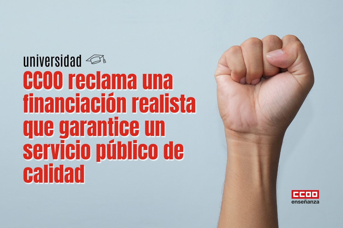 Esto es una estrategia política sostenida en el tiempo para convertir la universidad pública en objeto de negocio