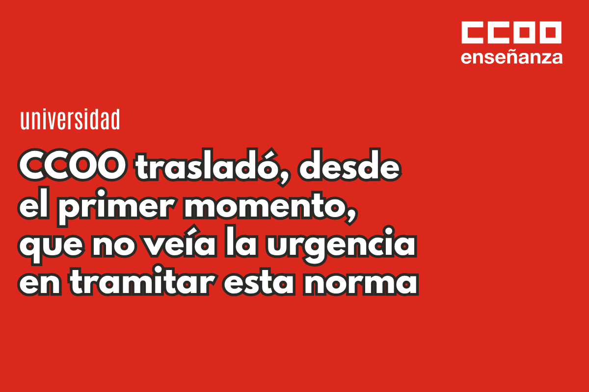 CCOO ha presentado alegaciones
